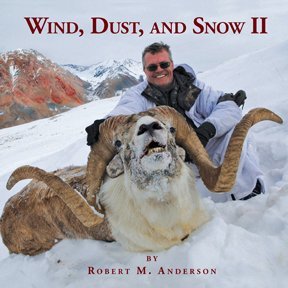 WIND, DUST, AND SNOW II , by Robert Anderson