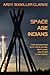 Space Age Indians by Ardy Sixkiller Clarke