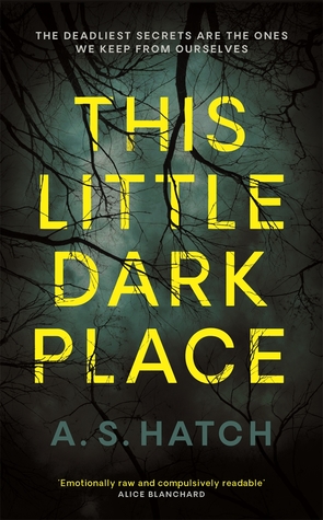 This Little Dark Place (Hardcover)