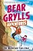 The Mountain Challenge (A Bear Grylls Adventure #10)