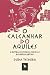 O Calcanhar do Aquiles