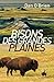 Bisons des Grandes Plaines