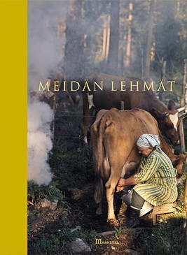 Meidän lehmät