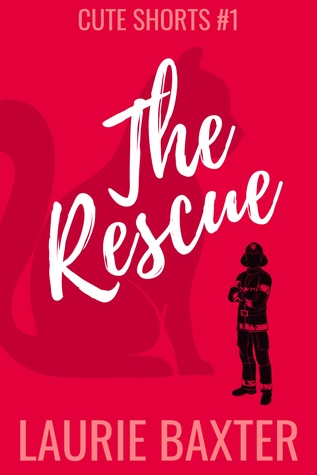The Rescue (Kindle Edition)