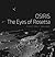 OSIRIS: The Eyes of Rosetta: Journey to Comet 67P, a Witness to the Birth of Our Solar System