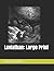 Leviathan: Large Print