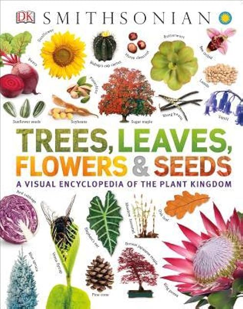 Trees, Leaves, Flowers and Seeds: A Visual Encyclopedia of the Plant Kingdom (DK Our World in Pictures)