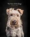 The Year of the Dogs by Vincent J. Musi