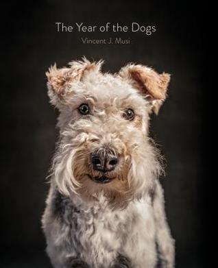 The Year of the Dogs (Hardcover)