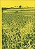 Quantitative Genetics in Maize Breeding