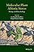Molecular Plant Abiotic Stress by Durgesh K. Tripathi