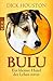 Bulu by Dick Houston