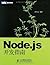 Node.js development Guide