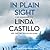 In Plain Sight (Kate Burkholder, #10.5) by Linda Castillo