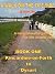 A Walk on the Fife Side - Book One by James Allan