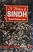 A History of Sindh