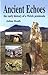 Ancient Echoes: the early history of a Welsh peninsula