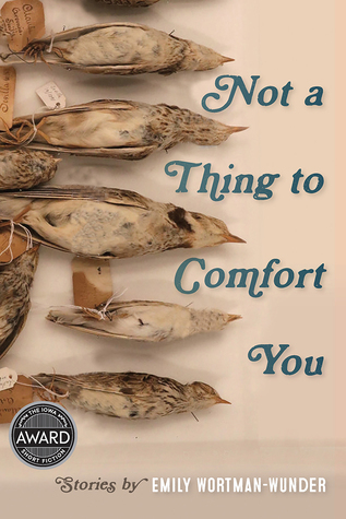 Not a Thing to Comfort You (Iowa Short Fiction Award)