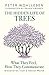 The Hidden Life of Trees : What They Feel, How They Communicate - Discoveries from a Secret World (English, Hardcover, Peter Wohlleben)