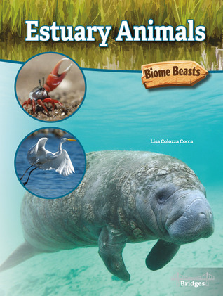 Biome Beasts Estuary Animals