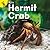 My Pet Hermit Crab by Barry Cole