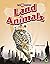 Top Ten: Fastest Land Animals