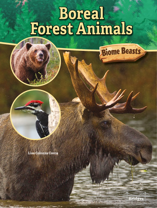 Rourke Educational Media Bridges Boreal Forest Animals (Biome Beasts)