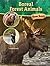 Rourke Educational Media Bridges Boreal Forest Animals (Biome Beasts)