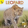 Leopard (African Animals)