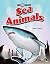 Top Ten: Fastest Sea Animals