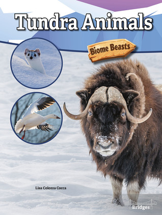 Tundra Animals, Guided Reading Level O (Biome Beasts)