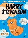 The Adventures of Harry Stevenson by Ali Pye