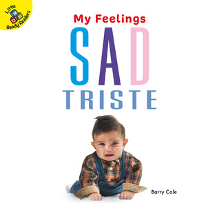 Rourke Educational Media My Feelings Sad, Ages 0 - 1 (English and Spanish Edition)