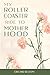 My Roller Coaster Ride to Motherhood by Orchid Bloom