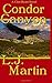 Condor Canyon (The Clint Ryan Series)