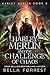 Harley Merlin and the Challenge of Chaos (Harley Merlin #8)