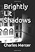 Brightly Lit Shadows