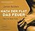 Nach der Flut das Feuer by James Baldwin