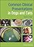 Common Clinical Presentations in Dogs and Cats by Ryane E Englar