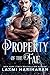 Property of the Fae (Fae's ...