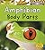 Amphibian Body Parts (Animal Body Parts)