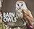 Barn Owls (Pebble Plus)
