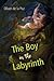 The Boy in the Labyrinth: Poems (Akron Series in Poetry)