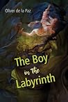 The Boy in the Labyrinth: Poems (Akron Series in Poetry) The Boy in the Labyrinth: Poems (Akron Series in Poetry)