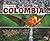Let's Look at Colombia