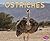 Ostriches (Meet Desert Animals)