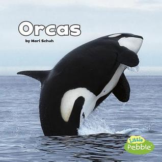 Orcas (Little Pebble: Black and White Animals)