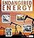 Endangered Energy: Investigating the Scarcity of Fossil Fuels (Endangered Earth)