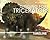 Digging for Triceratops by Thomas R. Holtz, Jr.