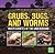 Grubs, Bugs, and Worms: Invertebrates of the Underground